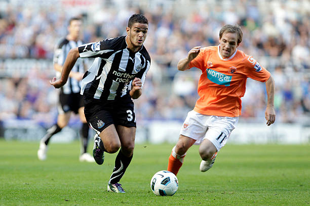 更是对他作 更是对他作