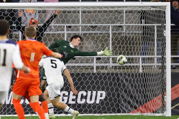 这不仅得益 这不仅得益